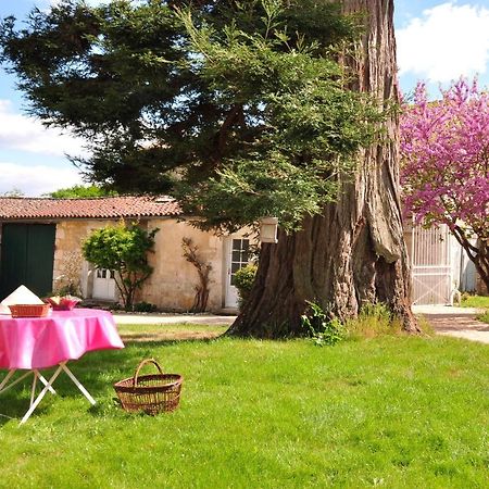 Bed and Breakfast Le Logis Du Plessis Chaniers Екстер'єр фото