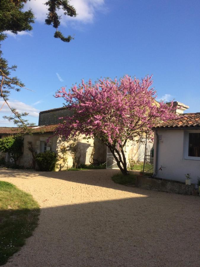 Bed and Breakfast Le Logis Du Plessis Chaniers Екстер'єр фото